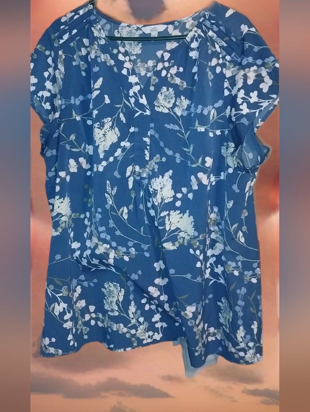 Croft&Barrow Blue Floral Short-Sleeve Women's Top 2X